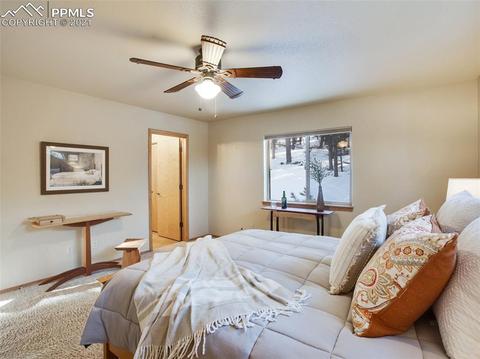 1645 Spring Valley Dr, Divide, CO 80814 photo 14