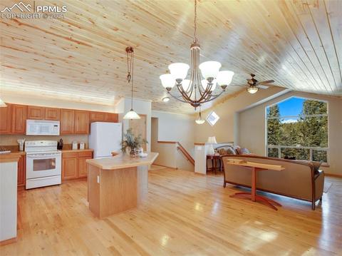 1645 Spring Valley Dr, Divide, CO 80814 photo 6