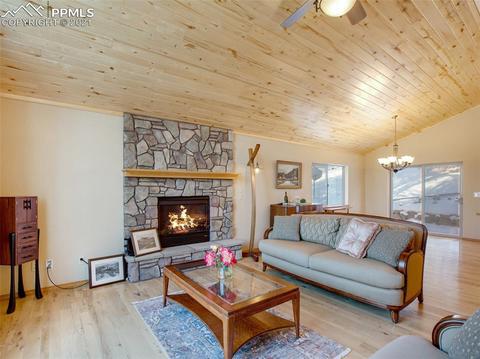 1645 Spring Valley Dr, Divide, CO 80814 photo 7