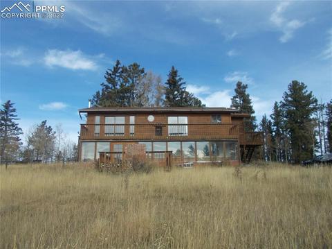 490 Dani Pl, Divide, CO 80814 photo 1