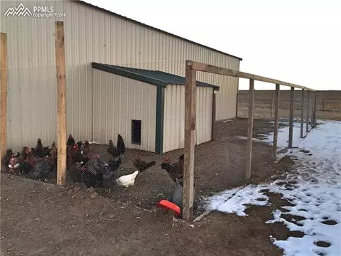 14625 County Road 2 Na Na, Rush, CO 80833 photo 18