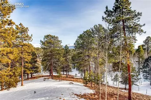 1270 County Road 512 Na Na, Divide, CO 80814 photo 26
