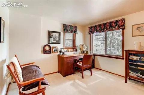 1270 County Road 512 Na Na, Divide, CO 80814 photo 20