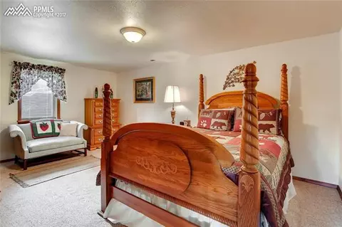 1270 County Road 512 Na Na, Divide, CO 80814 photo 23