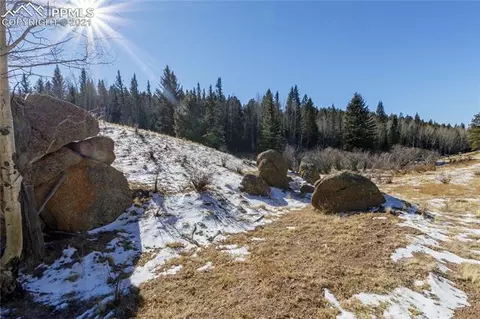 4195 Cedar Mountain Rd, Divide, CO 80814 photo 5