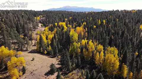 4195 Cedar Mountain Rd, Divide, CO 80814 photo 1