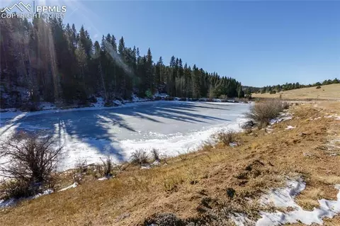 4195 Cedar Mountain Rd, Divide, CO 80814 photo 9