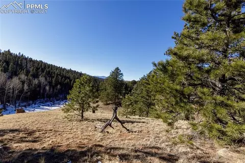 4195 Cedar Mountain Rd, Divide, CO 80814 photo 8