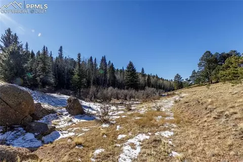 4195 Cedar Mountain Rd, Divide, CO 80814 photo 4