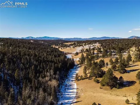4195 Cedar Mountain Rd, Divide, CO 80814 photo 3