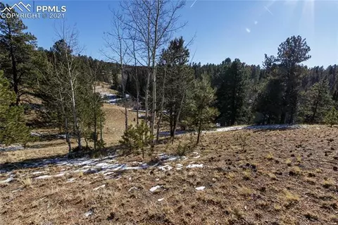4195 Cedar Mountain Rd, Divide, CO 80814 photo 7