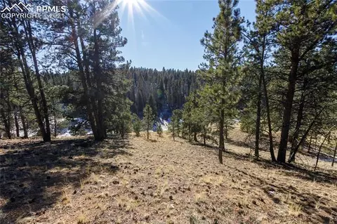 4195 Cedar Mountain Rd, Divide, CO 80814 photo 6