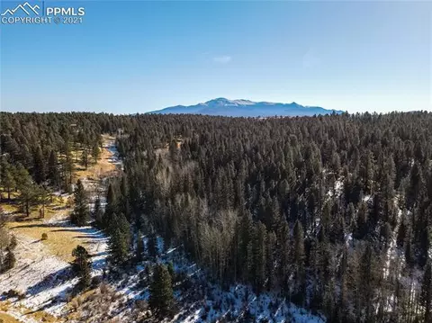 4195 Cedar Mountain Rd, Divide, CO 80814 photo 2