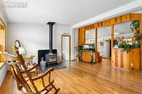 505 Badger Trl, Florissant, CO 80816