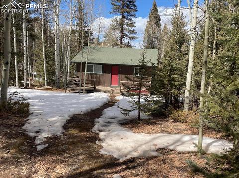 31 Witherite Dr, Divide, CO 80814 photo 1