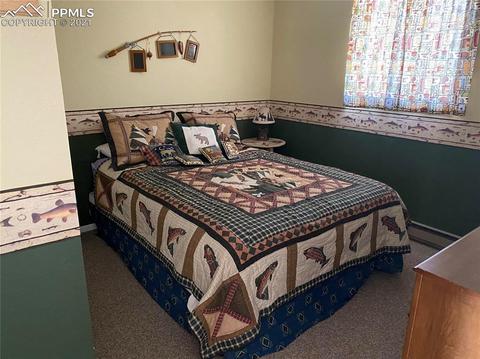 31 Witherite Dr, Divide, CO 80814 photo 8