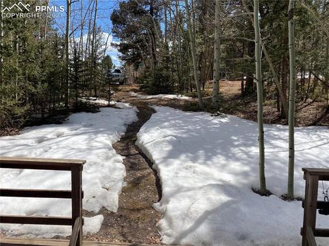 31 Witherite Dr, Divide, CO 80814 photo 11