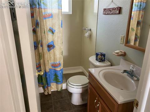 31 Witherite Dr, Divide, CO 80814 photo 9