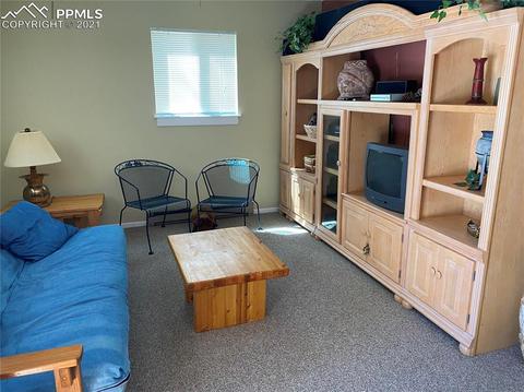 31 Witherite Dr, Divide, CO 80814 photo 7