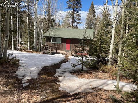 31 Witherite Dr, Divide, CO 80814 photo 2