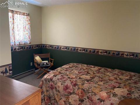 31 Witherite Dr, Divide, CO 80814 photo 10