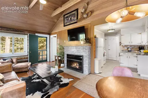 Living - 9120 Ute Rd, Cascade, CO 80809 photo 3 of 4