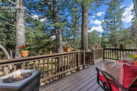 Exterior - 9120 Ute Rd, Cascade, CO 80809 photo 6 of 14