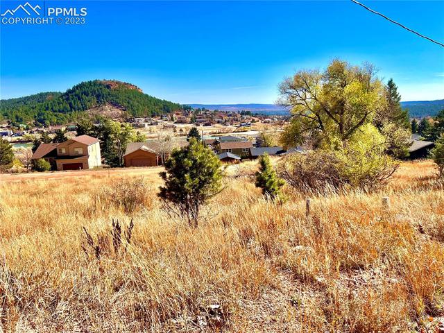 0 Viola St, Palmer Lake, CO 80133