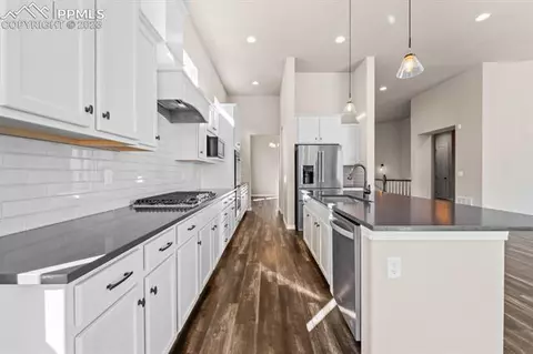 17519 Lake Side Dr, Monument, CO 80132 photo 14