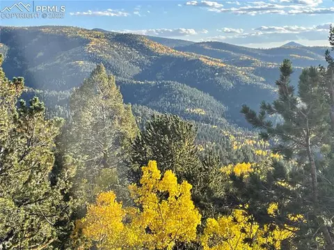 847 Witherite Dr, Divide, CO 80814 photo 6