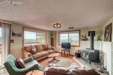 847 Witherite Dr, Divide, CO 80814 photo 13
