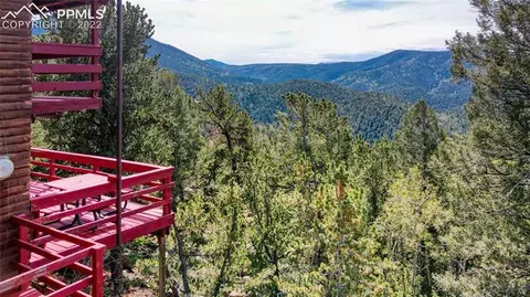 847 Witherite Dr, Divide, CO 80814 photo 7