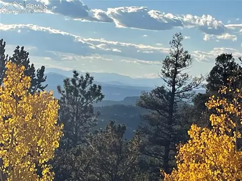 847 Witherite Dr, Divide, CO 80814 photo 30