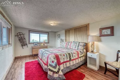847 Witherite Dr, Divide, CO 80814 photo 16