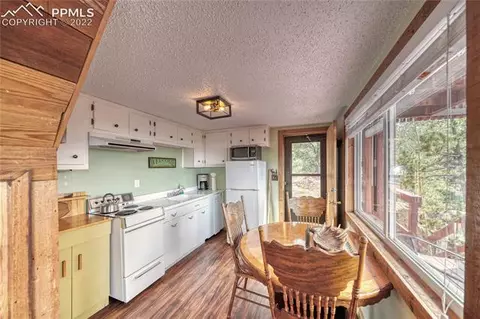 847 Witherite Dr, Divide, CO 80814 photo 9