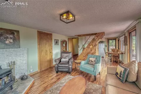 847 Witherite Dr, Divide, CO 80814 photo 14