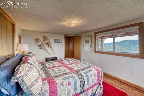 847 Witherite Dr, Divide, CO 80814 photo 17