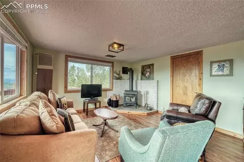 847 Witherite Dr, Divide, CO 80814 photo 12