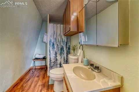 847 Witherite Dr, Divide, CO 80814 photo 15