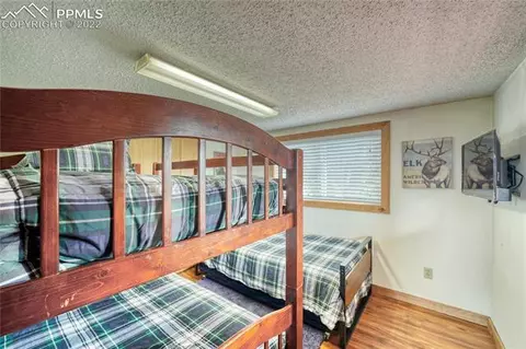 847 Witherite Dr, Divide, CO 80814 photo 18