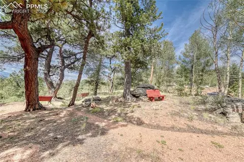 847 Witherite Dr, Divide, CO 80814 photo 21