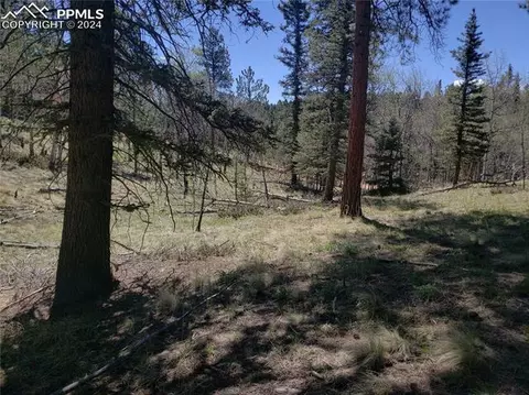 69 Lake Cir, Divide, CO 80814