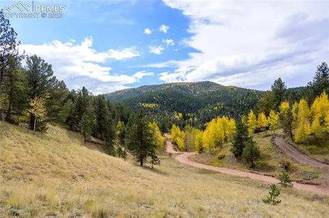 571 Beaver Pond Rd, Divide, CO 80814 photo 4
