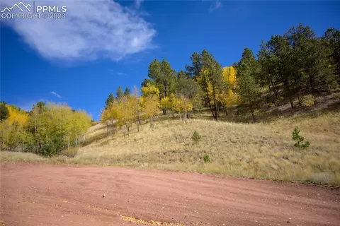 571 Beaver Pond Rd, Divide, CO 80814