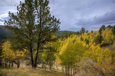 571 Beaver Pond Rd, Divide, CO 80814 photo 8