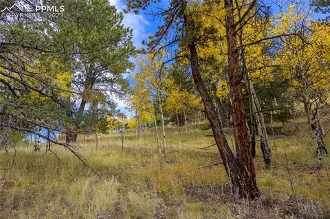 571 Beaver Pond Rd, Divide, CO 80814 photo 5