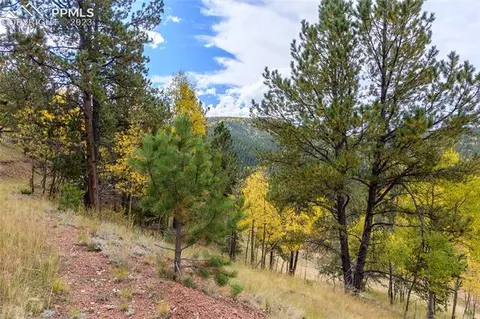 571 Beaver Pond Rd, Divide, CO 80814 photo 6