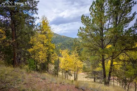 571 Beaver Pond Rd, Divide, CO 80814 photo 9