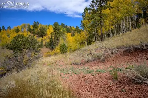 571 Beaver Pond Rd, Divide, CO 80814 photo 7