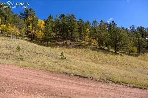 571 Beaver Pond Rd, Divide, CO 80814 photo 3